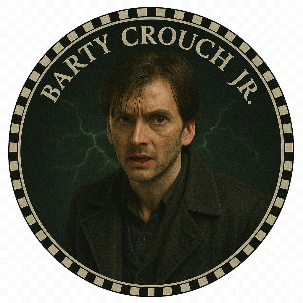 Harry Potter Dark Arts Collector coin set